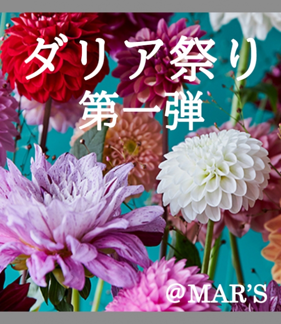 【10月】@MAR'S[青山ダリア祭り 第一弾!] 